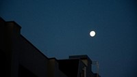 夜の月光