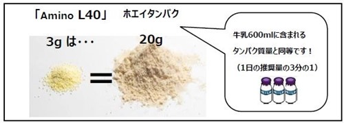 aminoL40の粉末