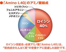 aminoL40の構成