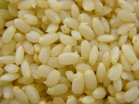 発芽玄米