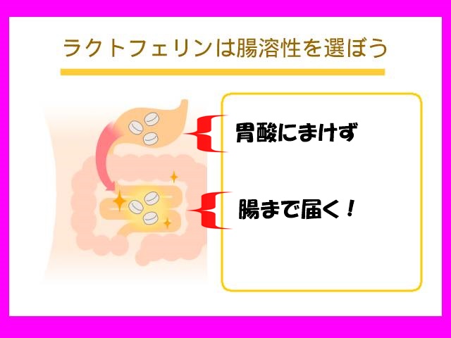 腸まで届くラクトフェリンは腸溶性